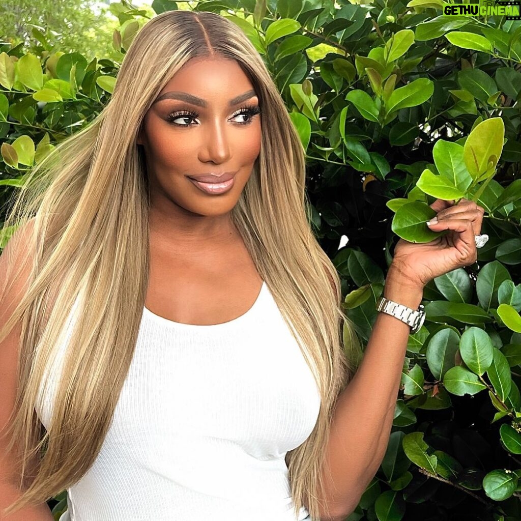 NeNe Leakes Instagram - Just stopping thru 💋