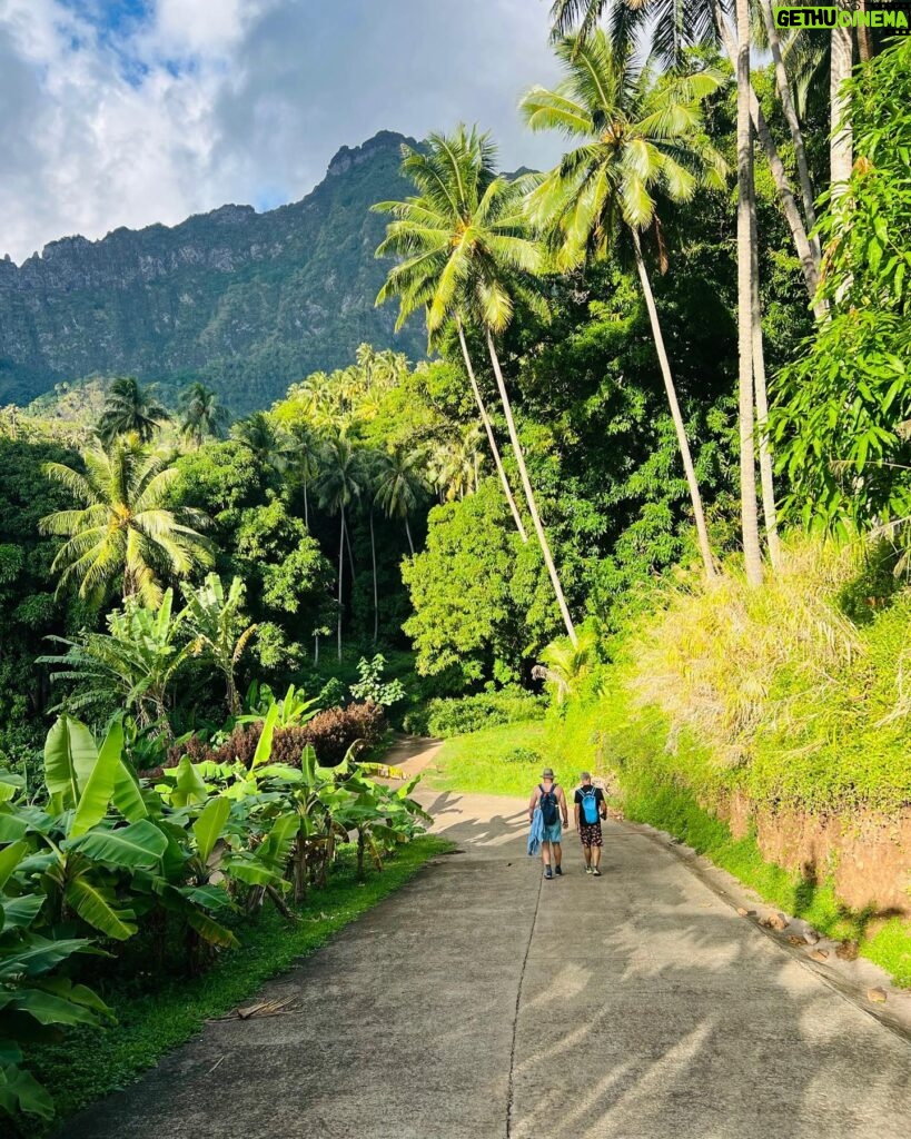 Kate Walsh Instagram - Wild about the wildlife and scenery in the unbeliavable tropical weather of French Polynesia 🐱💛☀️ #lindbladexpeditions #whereiexplore