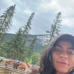 Jessie Reyez Instagram - 🐐👸🏽 

1. Joy 
2. Peace 
3. Sleep lol 
4. The day I announced “Words of Goat Princess” I walked out the rental and saw these beauties. Spirit is speaking. 
5. Lil mule named K. I felt seen.
6. His name is Nigel and his boys Rosco and Trooper loved me off too 
7. Prada me
8. Sharing and a check up cuz they shook that I was in the woods alone again lol 
9. Poncho 
10. Vista