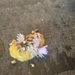 Asami Mizukawa Instagram - 7月24日に40歳になりました🌻
「お誕生日おめでとう」と言ってもらえる一年に一度の嬉しい日。
本当にしみじみと感謝の気持ちが湧き上がります。
ありがとう。

身体も心もイキイキと健やかに健康第一でこれからもやらせてもらいます〜🤸‍♀️✴︎⭐︎⬡
40歳からのわたくしも何卒よろしくお願い申し上げまする🤲🏻

お祝いしてもらった沢山の嬉し嬉しを記録。
