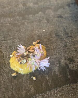 Asami Mizukawa Instagram - 7月24日に40歳になりました🌻
「お誕生日おめでとう」と言ってもらえる一年に一度の嬉しい日。
本当にしみじみと感謝の気持ちが湧き上がります。
ありがとう。

身体も心もイキイキと健やかに健康第一でこれからもやらせてもらいます〜🤸‍♀️✴︎⭐︎⬡
40歳からのわたくしも何卒よろしくお願い申し上げまする🤲🏻

お祝いしてもらった沢山の嬉し嬉しを記録。