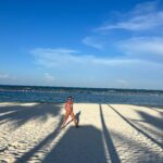 Ludwika Paleta Instagram - Sol, arena y mar 💙 cómo nos van consentido @fairmontmayakoba