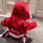 Sarah Michelle Gellar Instagram - Rocky… from the moment you came racing into our life (we may still hold the record for fastest delivery at St John’s) you have made everything better and funnier. Your laugh is infectious, your jokes are the best and your spirit is … EVERYTHING. You make every day brighter. Happy Birthday Rocky. Yes Siiiiiiiiirrrrrrr