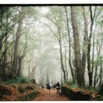 Claudia Salas Instagram - 1. Compañera de vida, de camino y de todas las veces que me he tropezado.
2. Hogar. (En mayúscula y negrita)
3. Laia hace unas fotos increíbles.
4. Laia hace una fotos…
5. Laia hace…
6. El camino te da lo que necesitas (gracias Ruth).
7. Mi vida en una foto. Literal. 
8. Gracias a Elena, una trabajadora que sin conocerme me ayudó a terminar todos los “check” de mi lista.
9. Sueño, frío y ganas.
10. Los ojos con los que la miro. (Laísmos a parte).

No se pueden poner más fotos y las que no están me las guardo para mi y para todas las zapas de caña alta y baja que caminaron conmigo. Incluso los que no dejaban huella.