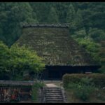 Asami Mizukawa Instagram - 『唄う六人の女』主題歌版予告編🌳
10月27日公開です🌳🌳🌳