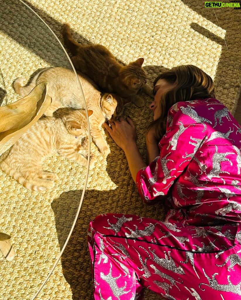 Kate Walsh Instagram - In honor of #WorldAnimalDay today, here’s me breaking it to the children that they will begin human toilet training… Swipe right to see the sh*t show results 😹 Almost got it but they’ve yet to realize that it’s one at a time… 🤷‍♀️