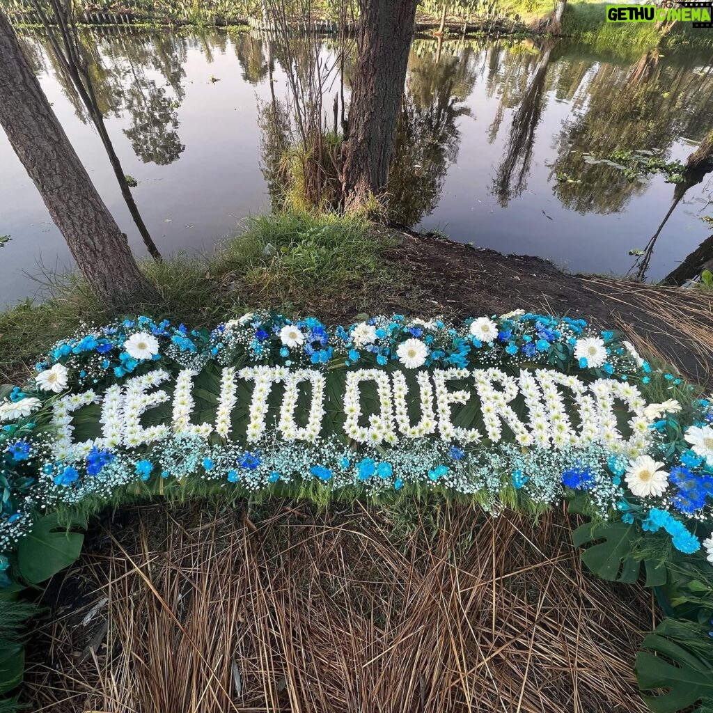 Ludwika Paleta Instagram - Feliz cumpleaños a mi mejor compañera de la vida ❤️ Te amo @dominikapaleta.  #stolat #xochimilco