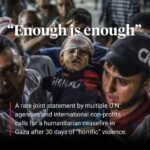 Nicola Coughlan Instagram - #CEASEFIRENOW 

Repost from @democracynow The leaders of 18 United Nations agencies and NGOs have signed a public letter expressing “shock and horror” at the situation in Gaza and demanding an immediate ceasefire.

The groups include the United Nations Children's Fund, Save the Children, the World Health Organization, the World Food Programme and others.

“An entire population is besieged and under attack, denied access to the essentials for survival, bombed in their homes, shelters, hospitals and places of worship,” they write. “We need an immediate humanitarian ceasefire. It’s been 30 days. Enough is enough. This must stop now.”