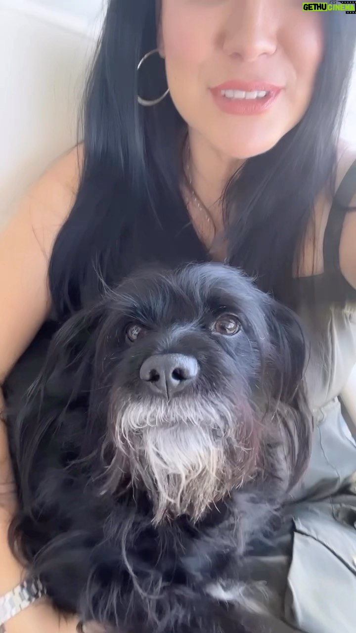 Scarlet Ortiz Instagram - Mi Negrito Gruñon 😅 no le gusta que Yul Hansel @yulburkle se acerque cuando el está en mi regazo 🤦🏻‍♀️ celosooooo!!! Cómo lo amoooo. Si ya sé que lo tengo demasiado consentido 🤪😍🐾 #amorperruno #hijopeludo #dollardejesus #inconditionallove