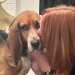 Ree Drummond Instagram - If you ever can’t find me, just look for Rusty and that’s where I’ll be.