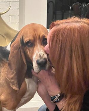 Ree Drummond Instagram - If you ever can’t find me, just look for Rusty and that’s where I’ll be.