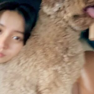 Kōki Instagram - ルンちゃんとのお散歩📷

満開の金木犀🥰
甘い香りが大好きです☺️
