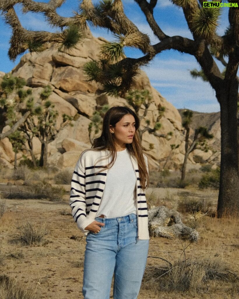 Daniela Calle Instagram - 🚗🗺️
Vegas
Joshua tree
Grand Canyon 
F1