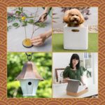 Marie Kondo Instagram - Our Fall Into Joy Sale is here!
Make thoughtful purchases and spark joy for those that are special to you✨
25% Off Site-wide*
Shop.KonMari.com
US Only | *Some exclusions apply
-
#konmari #mariekondo #sale #thoughtfulpurchases #blackfriday #konmarimethod #organization #selfcare