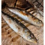 Nozomi Sasaki Instagram - .
I♡seafood
山治さんにオーダーして届いた魚介類を食べて元気いっぱい！
毎日幸せ。