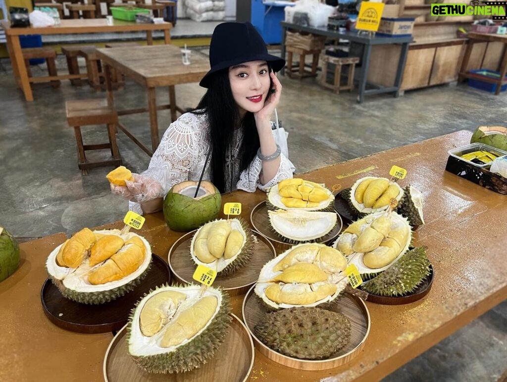 Fan Bingbing Instagram - 哇！Malaysian durian~~ SEDAPNYA 🤤🤤😍😍

This is HEAVEN for all durian lovers! I’ve tried D101, D24 XO, Tekka, D197 Musang King, D200 Black Thorn... 哇！！

They also taught me to drink from the durian carpel to avoid body heat, so interesting! 😍