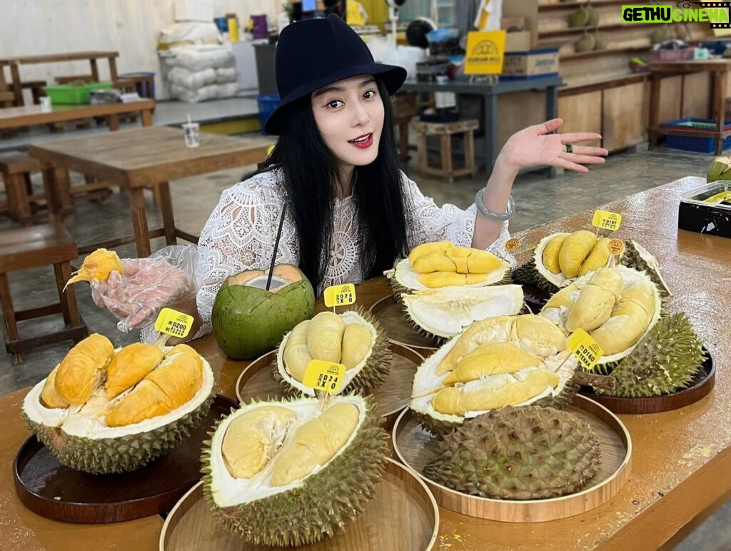 Fan Bingbing Instagram - 哇！Malaysian durian~~ SEDAPNYA 🤤🤤😍😍

This is HEAVEN for all durian lovers! I’ve tried D101, D24 XO, Tekka, D197 Musang King, D200 Black Thorn... 哇！！

They also taught me to drink from the durian carpel to avoid body heat, so interesting! 😍