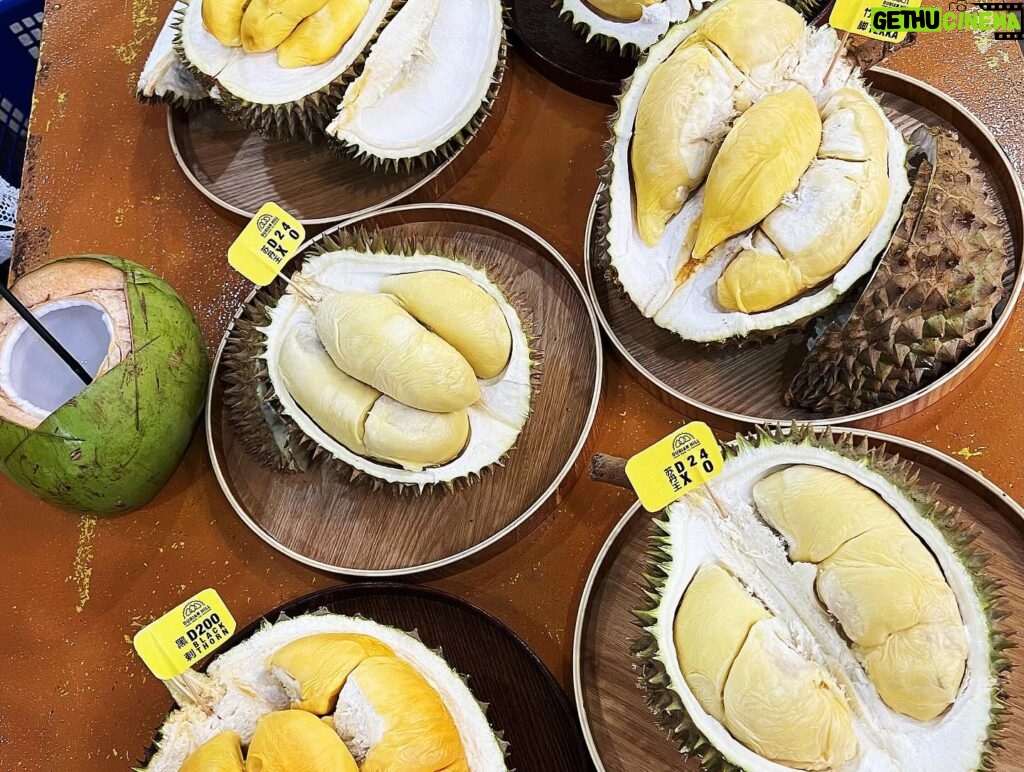 Fan Bingbing Instagram - 哇！Malaysian durian~~ SEDAPNYA 🤤🤤😍😍

This is HEAVEN for all durian lovers! I’ve tried D101, D24 XO, Tekka, D197 Musang King, D200 Black Thorn... 哇！！

They also taught me to drink from the durian carpel to avoid body heat, so interesting! 😍