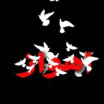 Sahar Dolatshahi Instagram - از جنگ و از مرگ كاش حرفى نبود 😞 تسليت تسليت تسليت