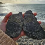 Fearne Cotton Instagram - The pure magic of finding ammonites. I found this beauty on the south coast last week. Picked up a flat sheet of rock, cracked it open and it somehow landed in two perfect halves with this in the middle. Not only is it a beautiful treat to find one but also a good leveller. It could very well be an imprint from millions of years ago. A creature that thrived then died during a period of time so long ago I cant get my head around it. This always gives me perspective. We are here for a tiny fraction of time so we might as well lean into the good and simple things, and not sweat the small stuff. When I'm in a spin of anxiety I have to think big like this. My worries seem a lot smaller when I think of how much has come before my tiny life. 

Swipe for other moments of simple joy this week. Laughter, family, pink skies and barbie manopoly. 💗