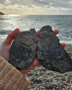 Fearne Cotton Instagram - The pure magic of finding ammonites. I found this beauty on the south coast last week. Picked up a flat sheet of rock, cracked it open and it somehow landed in two perfect halves with this in the middle. Not only is it a beautiful treat to find one but also a good leveller. It could very well be an imprint from millions of years ago. A creature that thrived then died during a period of time so long ago I cant get my head around it. This always gives me perspective. We are here for a tiny fraction of time so we might as well lean into the good and simple things, and not sweat the small stuff. When I'm in a spin of anxiety I have to think big like this. My worries seem a lot smaller when I think of how much has come before my tiny life. 

Swipe for other moments of simple joy this week. Laughter, family, pink skies and barbie manopoly. 💗