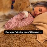 Camilla Luddington Instagram – Can’t we all just nap this week?