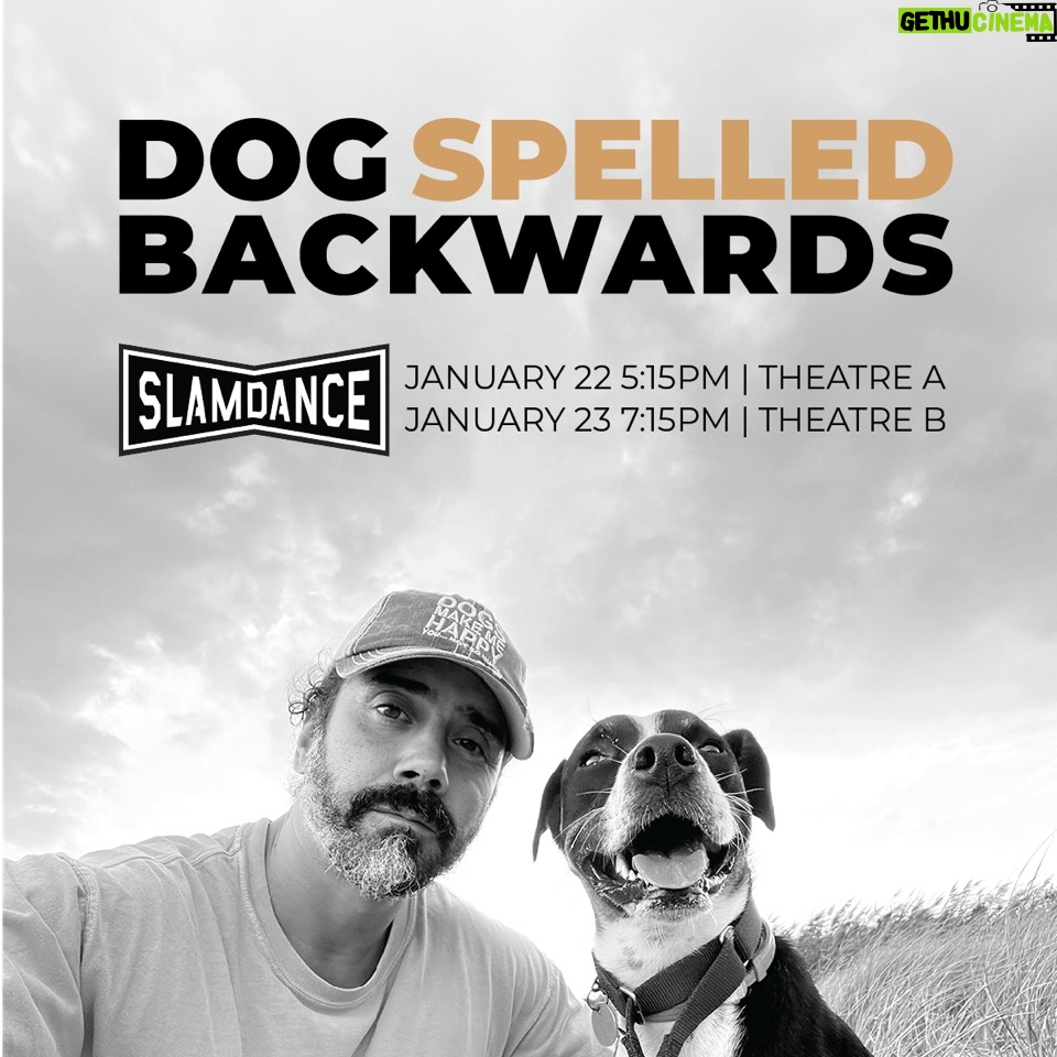 Katherine Heigl Instagram - 'Dog Spelled Backwards' which premieres at Slamdance on Jan 22 & 23 is not just a film documentary, it's a powerful reflection of Tim Almeida's extraordinary work in dog behavioral training. His dedication to improving the adoptability of shelter dogs is truly inspiring and deeply resonates with me. Join my @jasonheiglfoundation and his 'Shelter to Shelter' tour in our mission to find forever homes for all of these loving and deserving animals. If you're in the Park City area don't miss this special event! Tickets are available for screenings at @slamdancegroup NOW! Follow @dogspelledbackwards_official for updates and links.