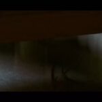 Sahar Dolatshahi Instagram - اكران فيلم " عرق سرد " شروع شده. اميدوارم فيلم رو در سينما ببينيد و دوست داشته باشيد. ✌🏻💕🌷