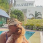 Susana Vieira Instagram - Recadinhos para os cachorreiros e gateiros 🐾🐶🐱❤️