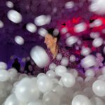 Nicolás Vázquez Instagram - Ayer festejamos el reestreno y la sala llena con todo el equipo de Tootsie como niños en @blowupexperience 
exposición de Arte Inflable, que manera de disfrutar y reírnos. 
@dgexperiencecom y cenamos en un lugar espectacular como
@barreto_larural en la rural.
Bendecidos por tanto!!