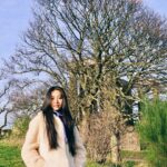 Kōki Instagram - 極寒でも、力強く咲いている綺麗なお花と出会いました。☺️
皆様も風邪をひかない様にお身体に気をつけて下さいね💗