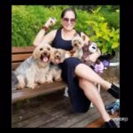 Susana Vieira Instagram - Meus filhos! Meus amores! Recebi esse vídeo e fiquei encantada 🐶🐶🐶🐶