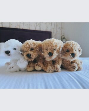 Kōki Instagram - 愛情いっぱいのチームに支えられています☺️💗

3枚目の写真は
スタッフが早朝の支度部屋で、「プレゼントがあるから目を閉じて！」と、朝会った時に言われ、そしてオッケーで目を開いたら、そこにはとっても可愛い子達がいました。
「お家のわんちゃん達に会えなくて寂しいでしょ！この子達で寂しさが紛れるかな？」と、プレゼントしてくれたぬいぐるみです🥹
優しさにうるうるしました☺️