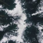 Kōki Instagram - 愛情いっぱいのチームに支えられています☺️💗

3枚目の写真は
スタッフが早朝の支度部屋で、「プレゼントがあるから目を閉じて！」と、朝会った時に言われ、そしてオッケーで目を開いたら、そこにはとっても可愛い子達がいました。
「お家のわんちゃん達に会えなくて寂しいでしょ！この子達で寂しさが紛れるかな？」と、プレゼントしてくれたぬいぐるみです🥹
優しさにうるうるしました☺️