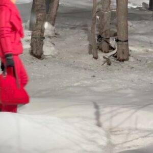 Débora Nascimento Instagram - the amazing Moncler fashion show in the wood was insane. imagine high fashion meeting snow-capped mountains. Moncler knows how to set the scene! :’) @moncler thanks for having me. 

#MonclerGrenoble #monclerfw24