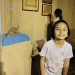 Beauty Gonzalez Instagram - The National Museum is always a good idea🤍
Swipe to the last photo to see our favorite Sculpture
By Our National Hero Jose Rizal. 
It is titled ‘ Mother’s Revenge’
It shows a Mama Dog viciously attacking a Crocodile who has just eaten its Puppy. 
I really wanted Olivia to see that. 
Fair Warning! He he