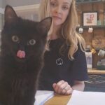 Fearne Cotton Instagram - IM ON A TIGHT DEADLINE FRANK! 
 Why do cats only want to sit on paper. I'm on THE FINAL edit of my debut fiction Scripted which I've decided to do on a print-out to get the true experience of reading it as if it's a book, but am considerably hindered by baby Frank. Due to his general cuteness he will totally get away with this disturbance. 
Hopefully my book will be out early June, if Frank ever finds a new resting spot. 😼