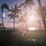 Tori Kelly Instagram - ooo sa sa sa sa sad i had to leave hawaii