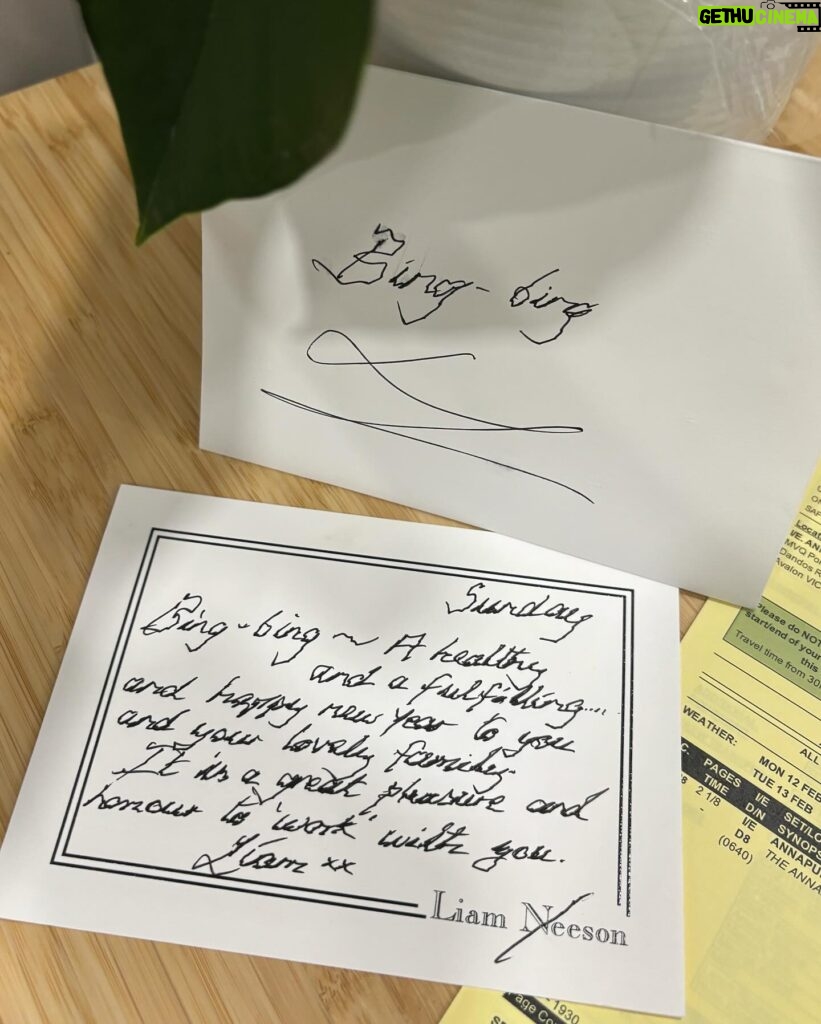 Fan Bingbing Instagram - Feeling blessed to have the opportunity to work alongside such a genuinely kind soul like Liam. Thank you for the beautiful flower and Chinese New Year wishes! 🌟💕

#liamneeson