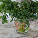 Ree Drummond Instagram - Stick yer wilted herbs in water. 😊 (That sounds like a country song.)