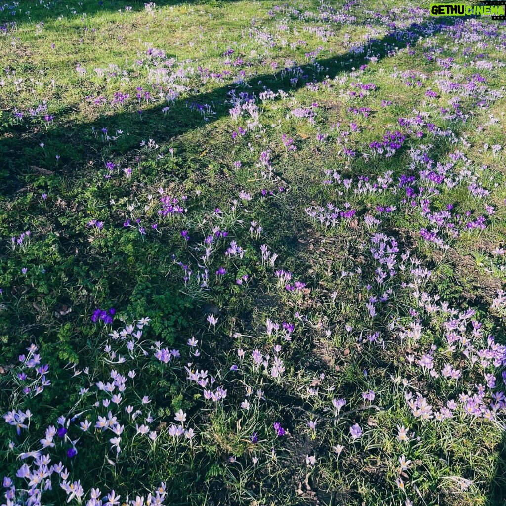 Kōki Instagram - 親友が会いに来てくれた時の写真☺️💓📷
お花が咲き始めていてとても綺麗でした💗