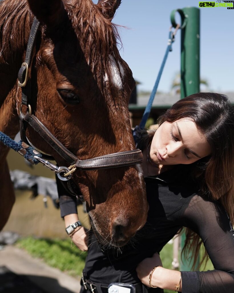 Daniela Calle Instagram - Mareeees ❤️‍🔥🐴😍