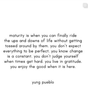 Daniella Monet Instagram - Post weekend bliss, and big thought dump 📝

so wild, but I kept telling Andrew I felt like I was on borrowed time, and it all make so much sense now…

right around my birthday I kept feeling this big wave of a feeling, it felt like a giant bowling ball of gratitude pummeling over me. It’s almost as though I woke up and realized how incredibly lucky I am, and how much everything I have means to me.

I know this feeling, I’m familiar with it, because I usually tend to get it when I feel like something exciting or new may be about to happen.

In the last 6 months I had set such specific intentions, similar to how I used to list out my goals when I was 8 and tape them to the ceiling above my bed. Over the last 6 months I’ve felt myself coming back to that feeling of magic I thought once felt I had.

In August I made a big professional change and partnered w a new manager, in November I had a meeting I’d only dreamed of taking over a decade plus ago, and in the last two months there’s been a clear shift in energy from the awareness in which I’ve taken care of myself to the professional conversations that have been had about potential opportunities.

5 years ago I had no idea I was slowly building this cocoon all around myself, this cocoon that allowed for me to give every little bit of myself to my kids, husband, and home. My little cocoon feels ready to make room for more, a side of me that’s been let’s call it, “retired” :)

I miss being someone else, I miss being in your living rooms, and I am forever grateful to have an opportunity to come back 📺❤️

We let the kids know mommy will be gone for work for a little while, she’s going to be back on tv, and they’re really confused how I get in and come back out 🤣