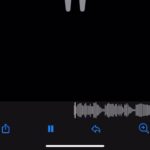 Jessie Reyez Instagram - 1. Out now @residente 
2. Out Friday @thisisjhyve 
3. Out of here @genes 
4. Outta fux @sober 
5. Out sourcing @the_four_agreements_official 
6. Outside but inside my heart @shamelesspapi