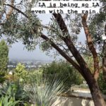 Elizabeth Banks Instagram - LA, you pretty.