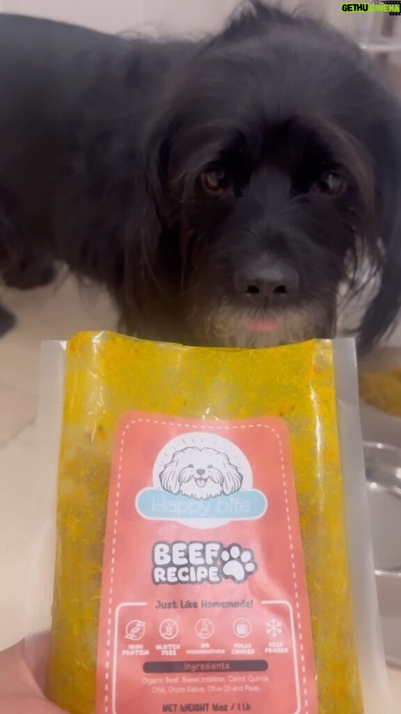 Scarlet Ortiz Instagram - Graciassss @happybitedog por esta comida deliciosa y sana para mi Negrito Dollar de Jesus! #happybite #dogs #doglover #dogfood #perros #perrofeliz #comidaparaperros