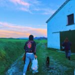 Clara Galle Instagram - Mira, es algo que te conmueva hasta la raíz. Da igual lo que sea, de dónde venga o quién te lo diga. Tenía hambre de temblar por algo cotidiano; quería llegar, dejar de construir hacia arriba y admirar cómo se desplomaba el castillo desde el jardín, sin preocuparme por el estruendo que producía al caer. La única opción era rendirse. Hacer lo de siempre. 
Hay un privilegio inmenso en poseer unos escombros.🦥

(Cardo para comer, unos Amigos, pedir por favor harina a la vecina, la bici, la mirada que no soportas mantener, la luz perfecta, cascar la tabla, decir chorradas.)