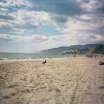 Sofia Wylie Instagram - I think I… like it here?