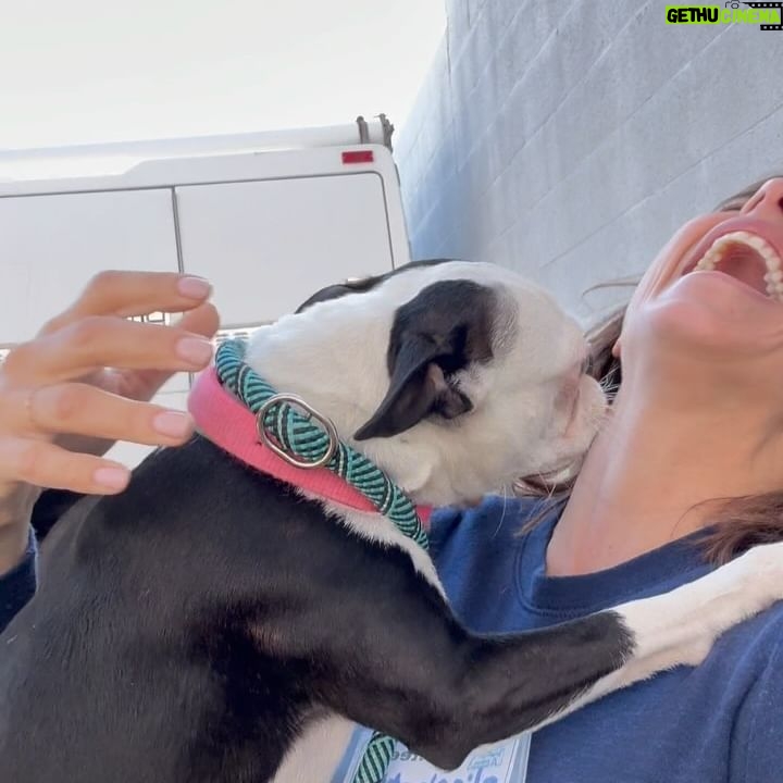 Elisabetta Canalis Instagram - Hey , did you know that at the shelters there are beautiful and healthy dogs ready for adoption?
Meet Darla , little Boston Terrier . She’s very sweet and loving ❤️
Meet Isabelle little chiuaua mix who loves sitting on your lap and being cuddled .
Meet Charlie , a blonde and furry mix who loves walking at leash and exploring the surrounding, he also has a  fun and playful personality ! 
The last beautiful lady is Bonnie a young and sweet  Doberman who is looking for her forever home! 
They are just few of the  guests at West Los Angeles Animal Shelter located in 11361 West Pico Blvd.
• Los Angeles, CA 90064
Link in bio