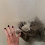 Alinne Moraes Instagram - 🐈🤍
